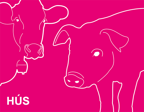 Symbolbild Rind & Schwein: Fleisch als Vitamin B12-Lieferant